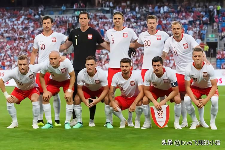 波兰世界杯阵容2022身价