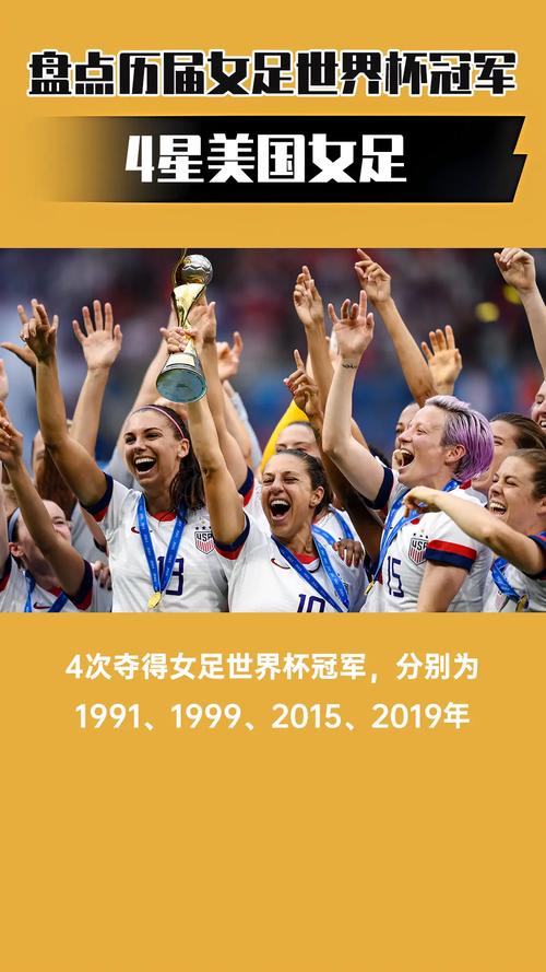 2015年女足世界杯冠军